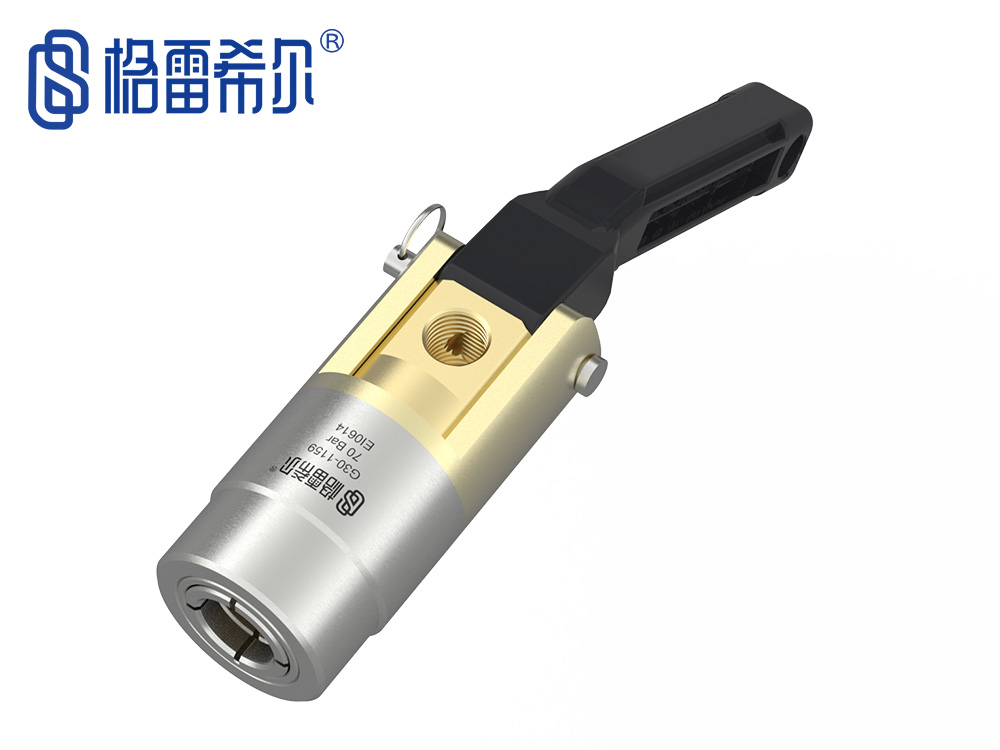 G30系列高壓密封測(cè)試接頭